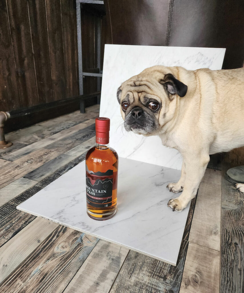 Dog standing beside bottle of Mountain Pass whisky