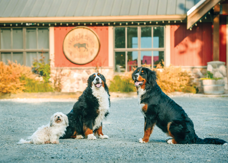 Autumn, Maddy and Dempsey with winery in background