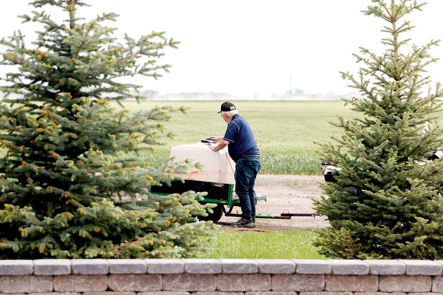 Man working in orchard