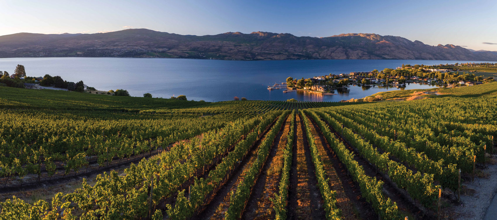 Panoramic view of Quail's Gate Winery with lake and mountains in background