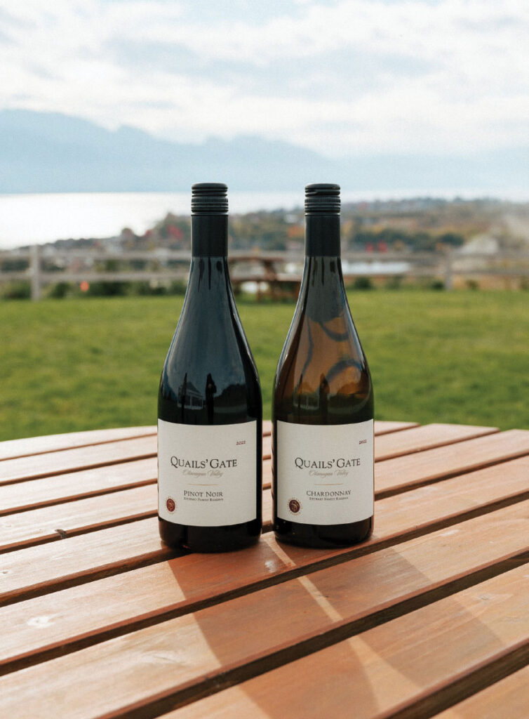 Two bottles of wine on outdoor table with mountains in background